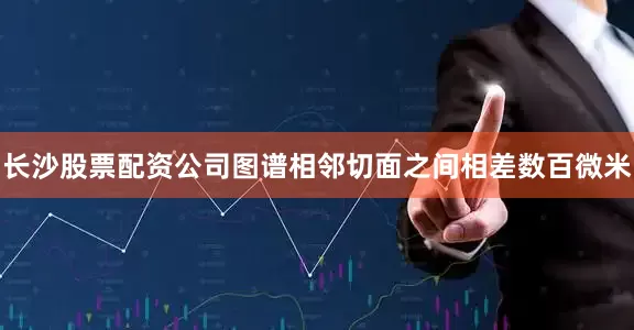 长沙股票配资公司图谱相邻切面之间相差数百微米