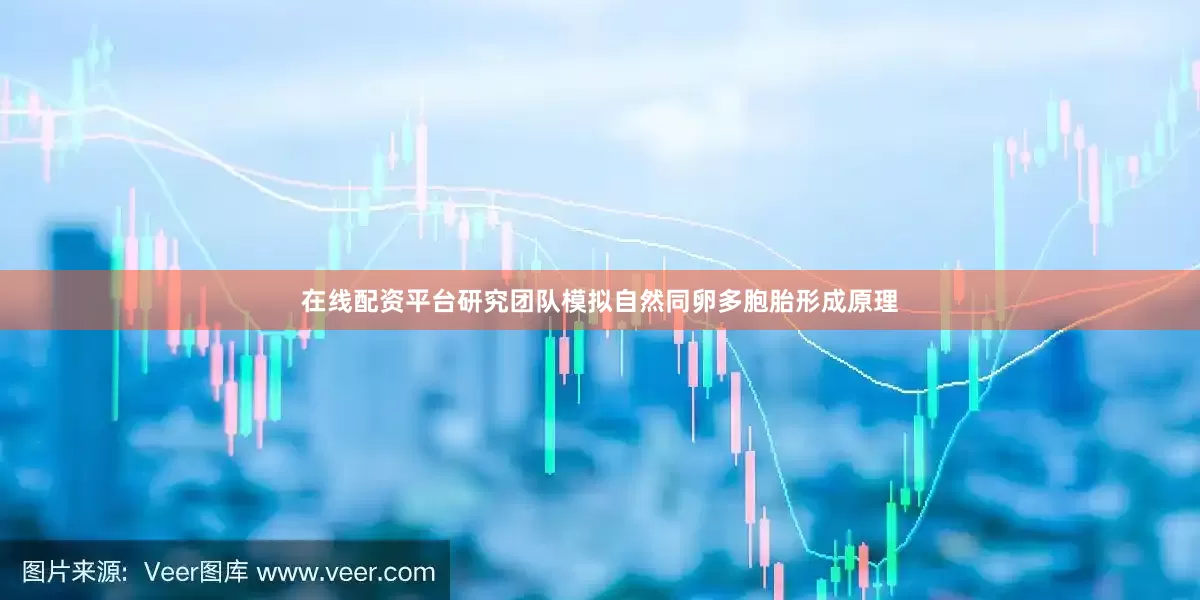 在线配资平台研究团队模拟自然同卵多胞胎形成原理