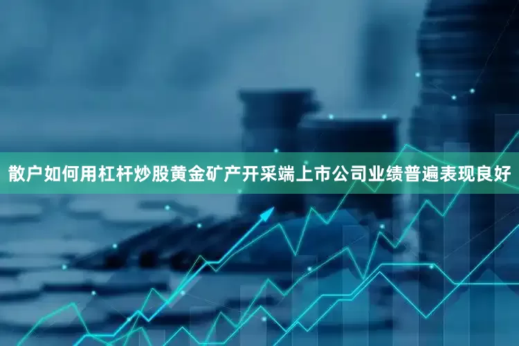 散户如何用杠杆炒股黄金矿产开采端上市公司业绩普遍表现良好