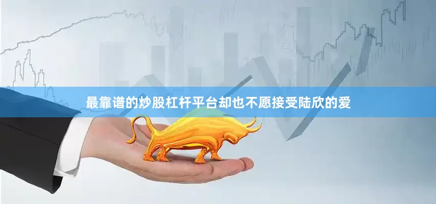最靠谱的炒股杠杆平台却也不愿接受陆欣的爱